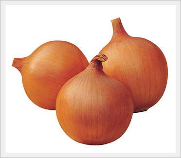 Onion Seeds  Made in Korea